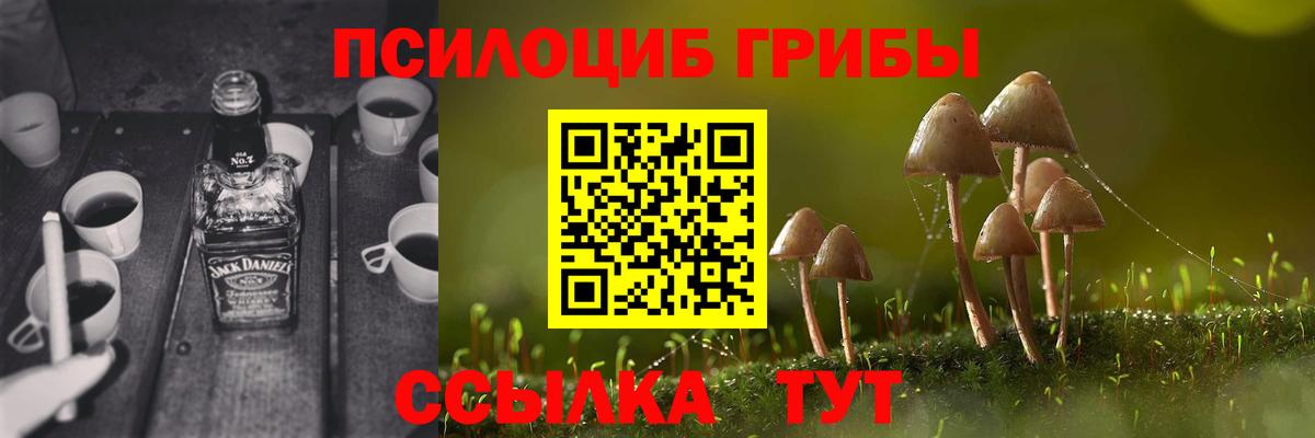 Псилоцибиновые грибы мухоморы  Вход с VPN  Псилоцибиновые грибы мухоморы  Барнаул 